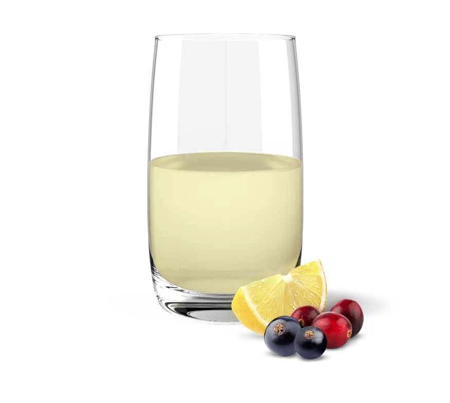 Fat Release® Fruit Twist – Advanced Fat Management with Patented Litramine® Cactus Fiber